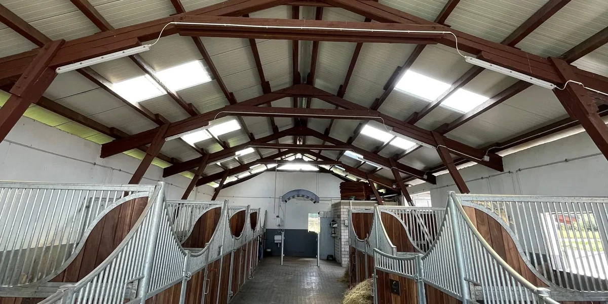 Dachsanierung Pferdestall Dachsanierung Pferdestall