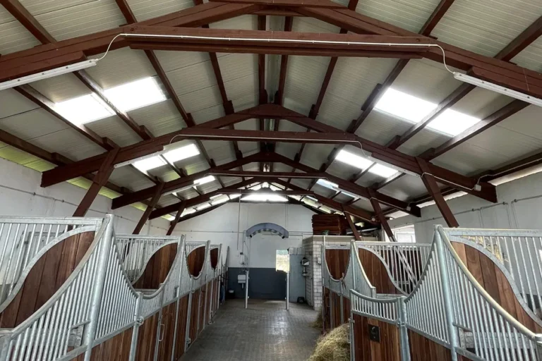 Dachsanierung Pferdestall