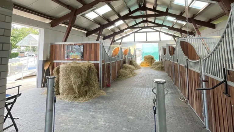 Heller und freundlicher Pferdestall