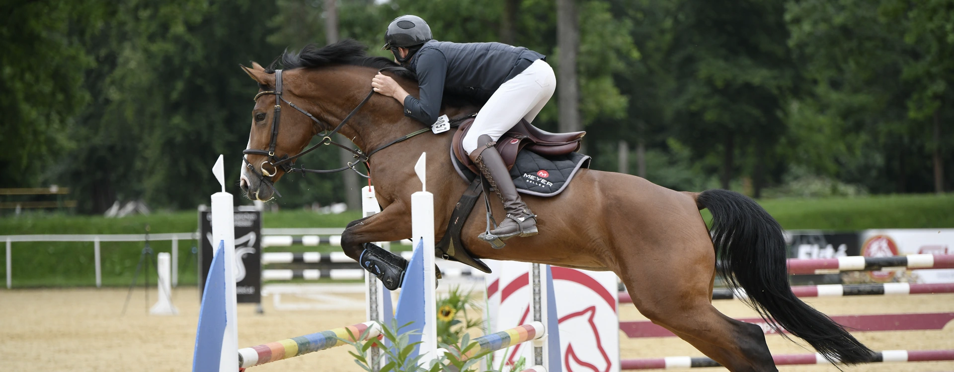 Hofgut am Main Springsport