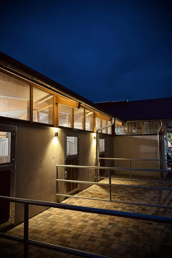 Beleuchtung Paddocks